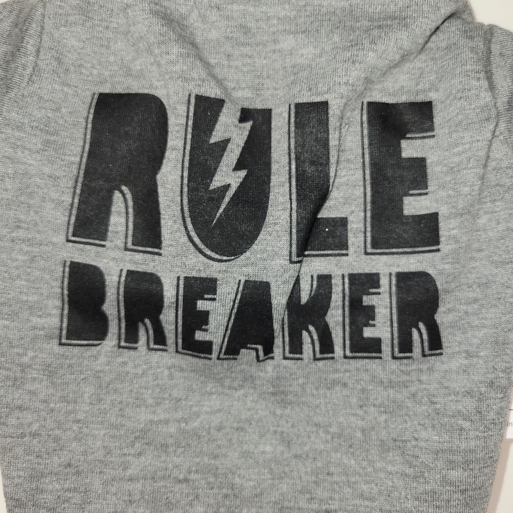 Rule Breaker - Picture 2 of 4